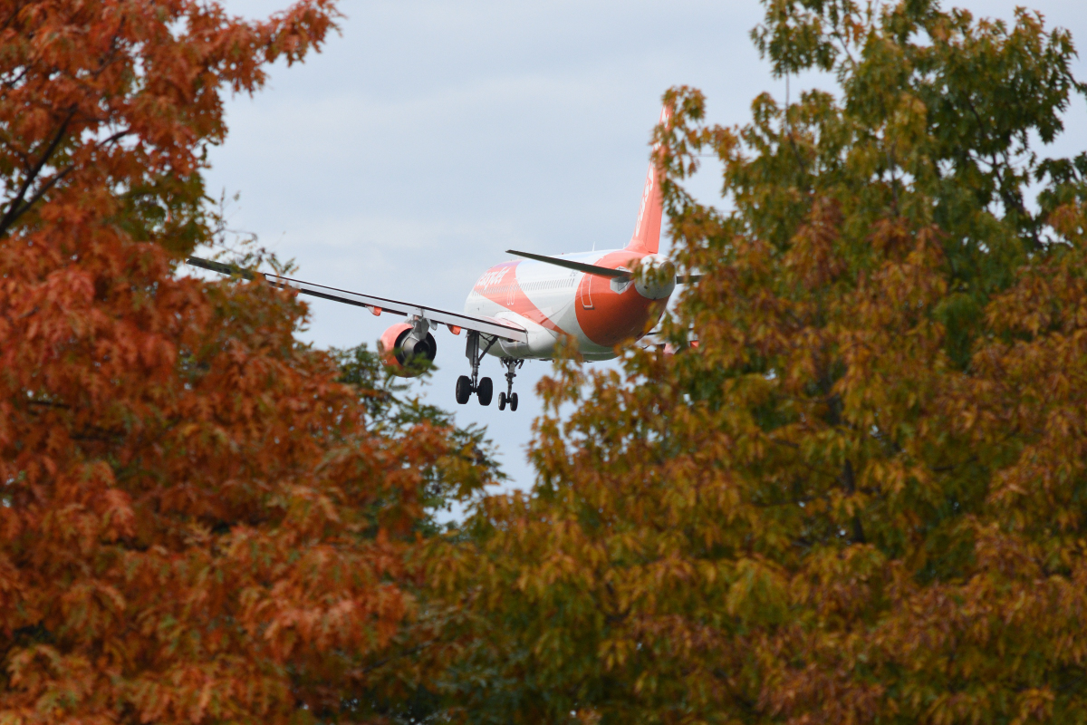 DSC_3950.JPG