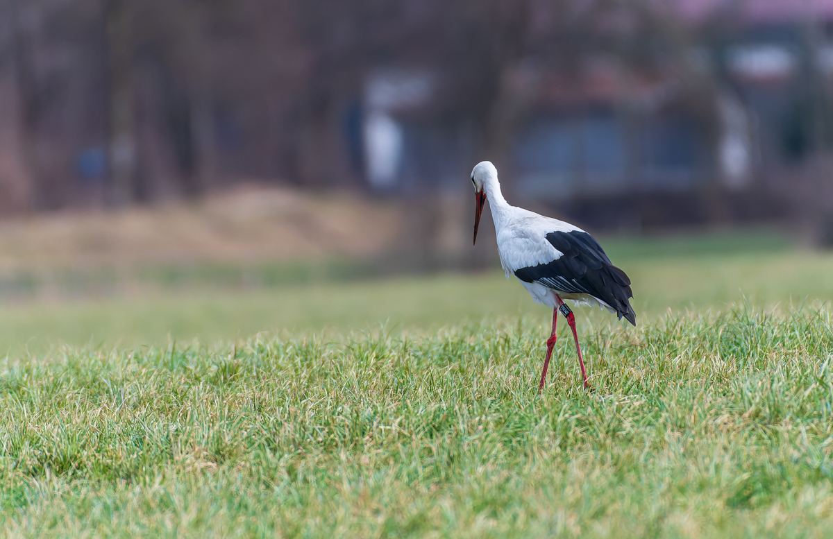 DSC_3962.jpg