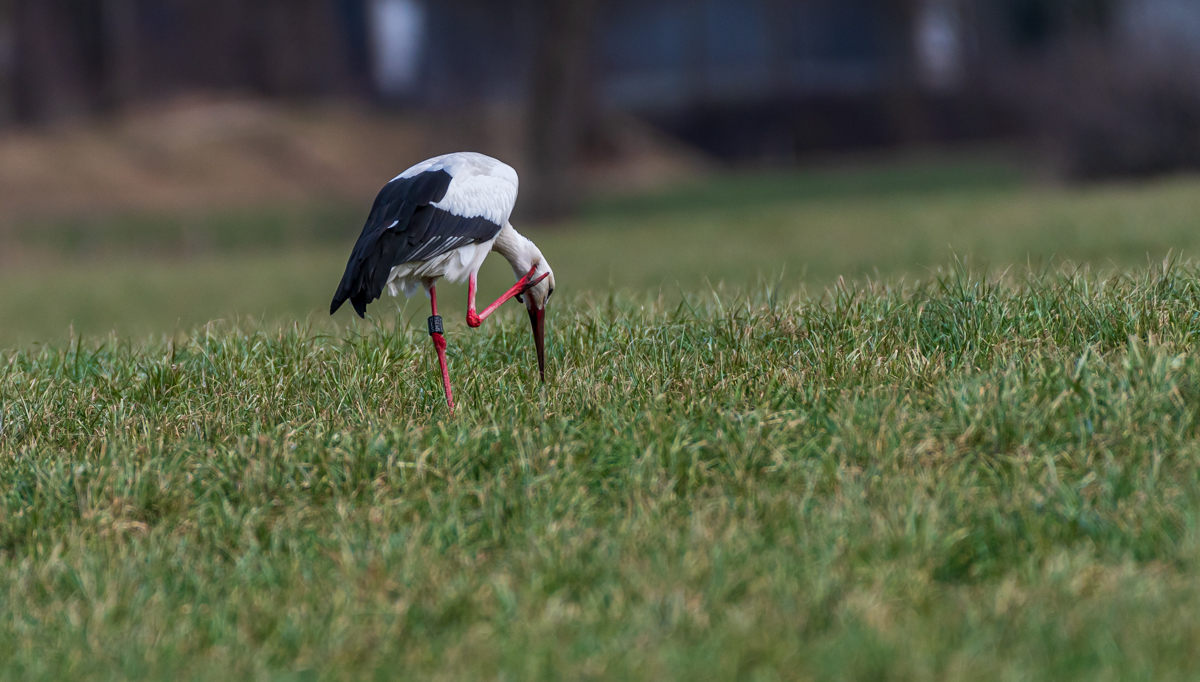 DSC_3963.jpg