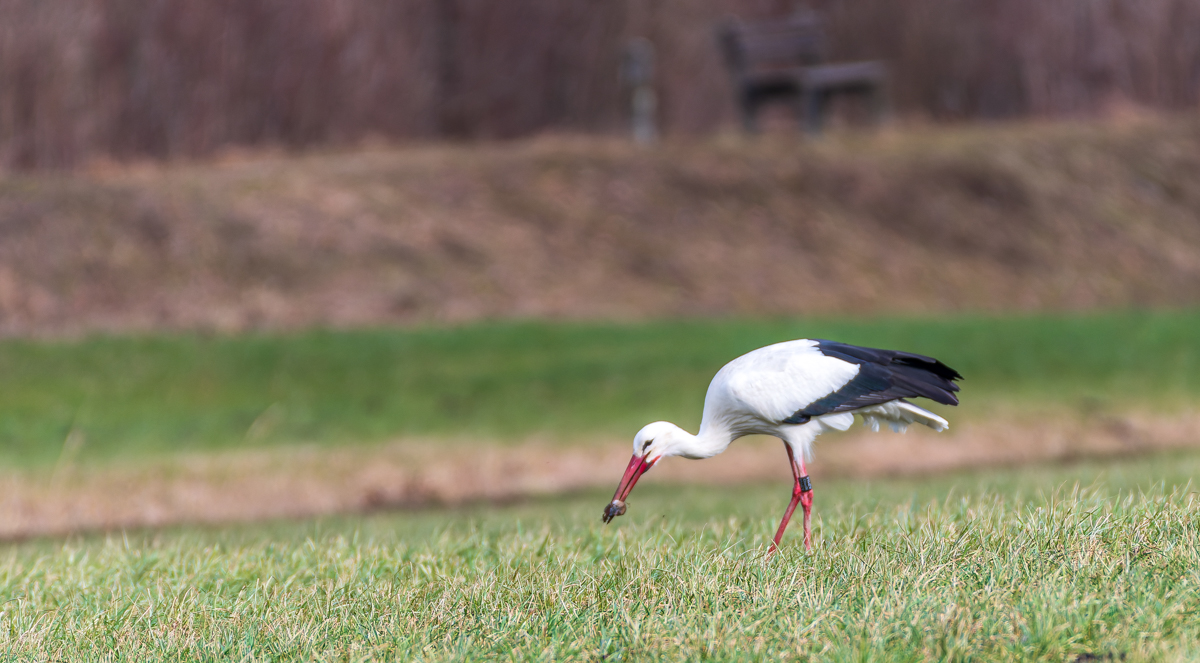 DSC_3972.jpg