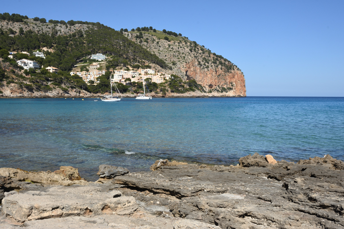 DSC_4012.JPG