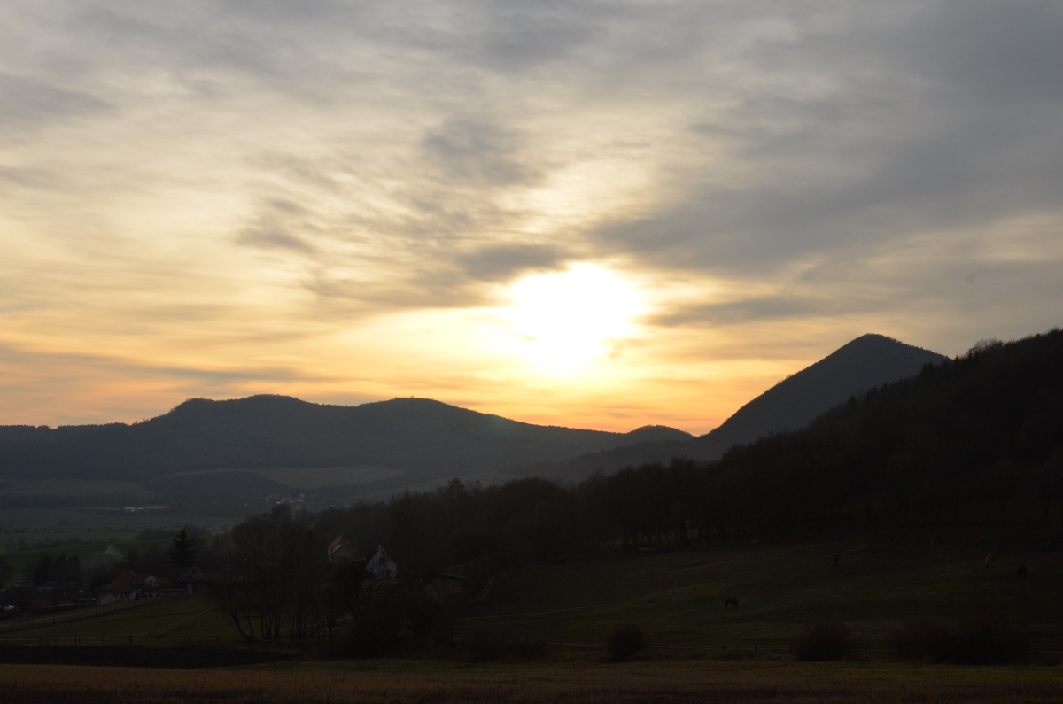 DSC_4020n.jpg