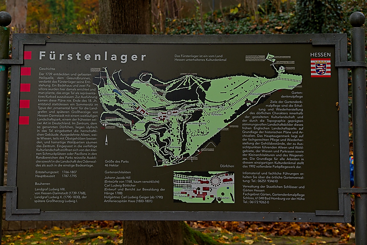 DSC_4065_NIKON Z 5_1200.jpg