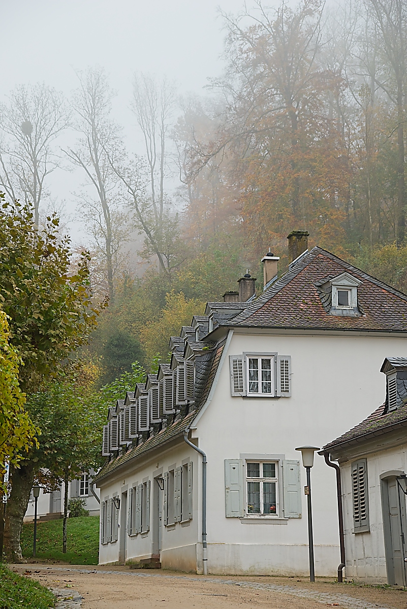 DSC_4087_NIKON Z 5_1200.jpg