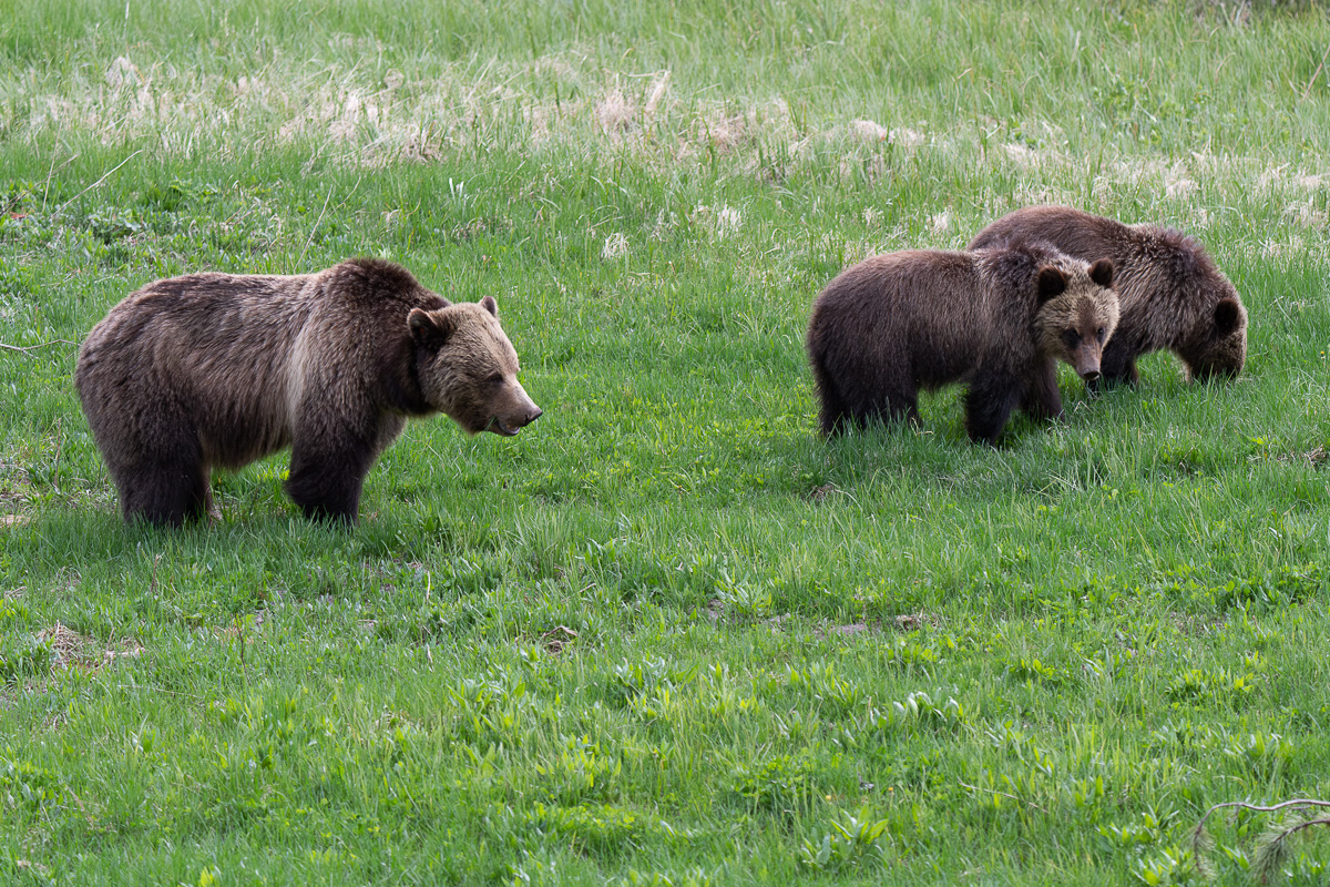 DSC_4092 (2)-Verbessert-RR-3.jpg