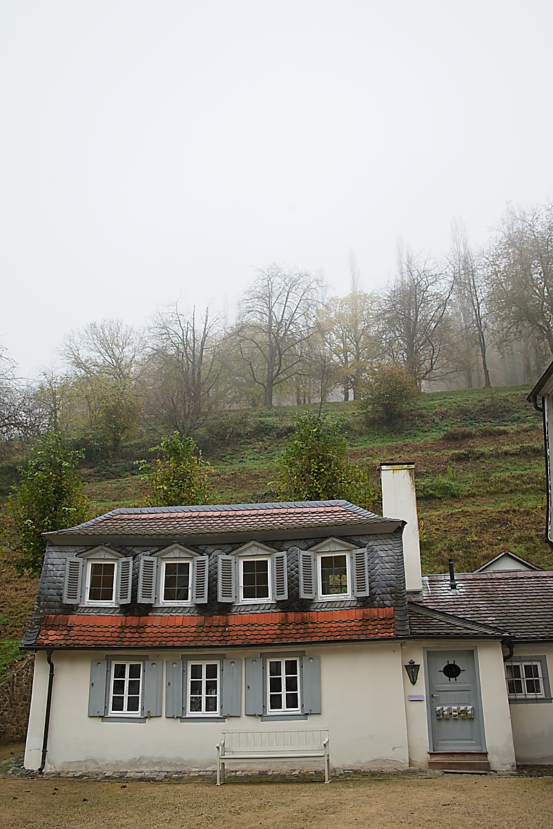 DSC_4101_NIKON Z 5_1200.jpg