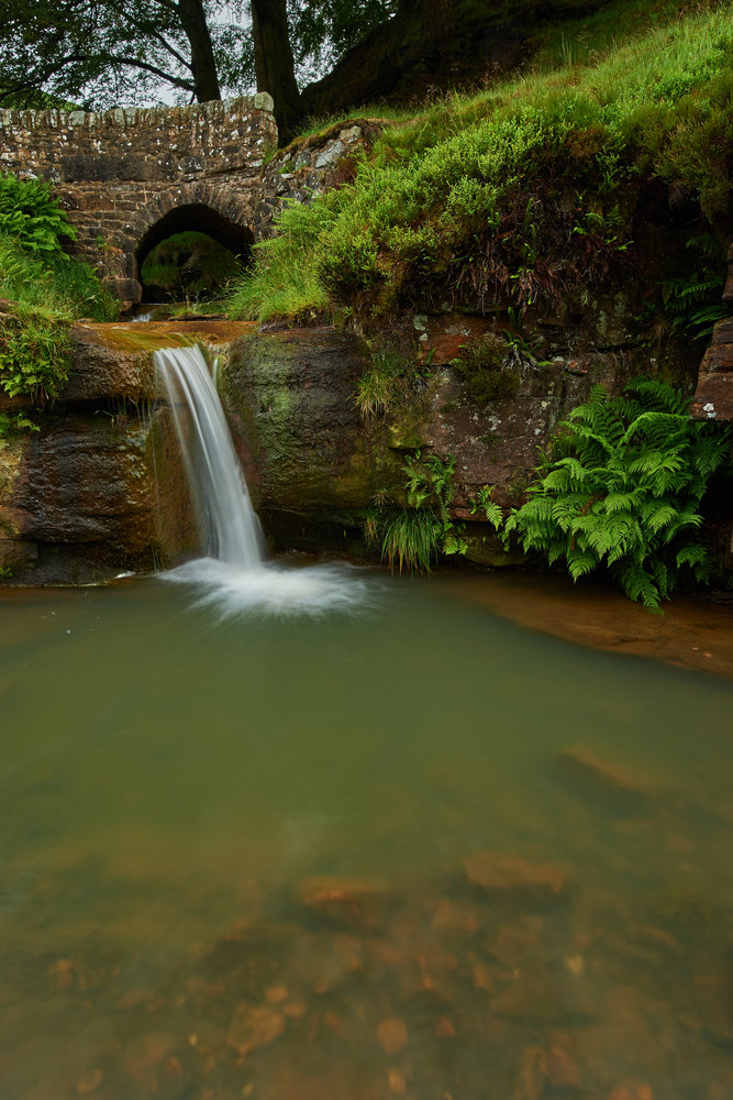 DSC_4111.jpg