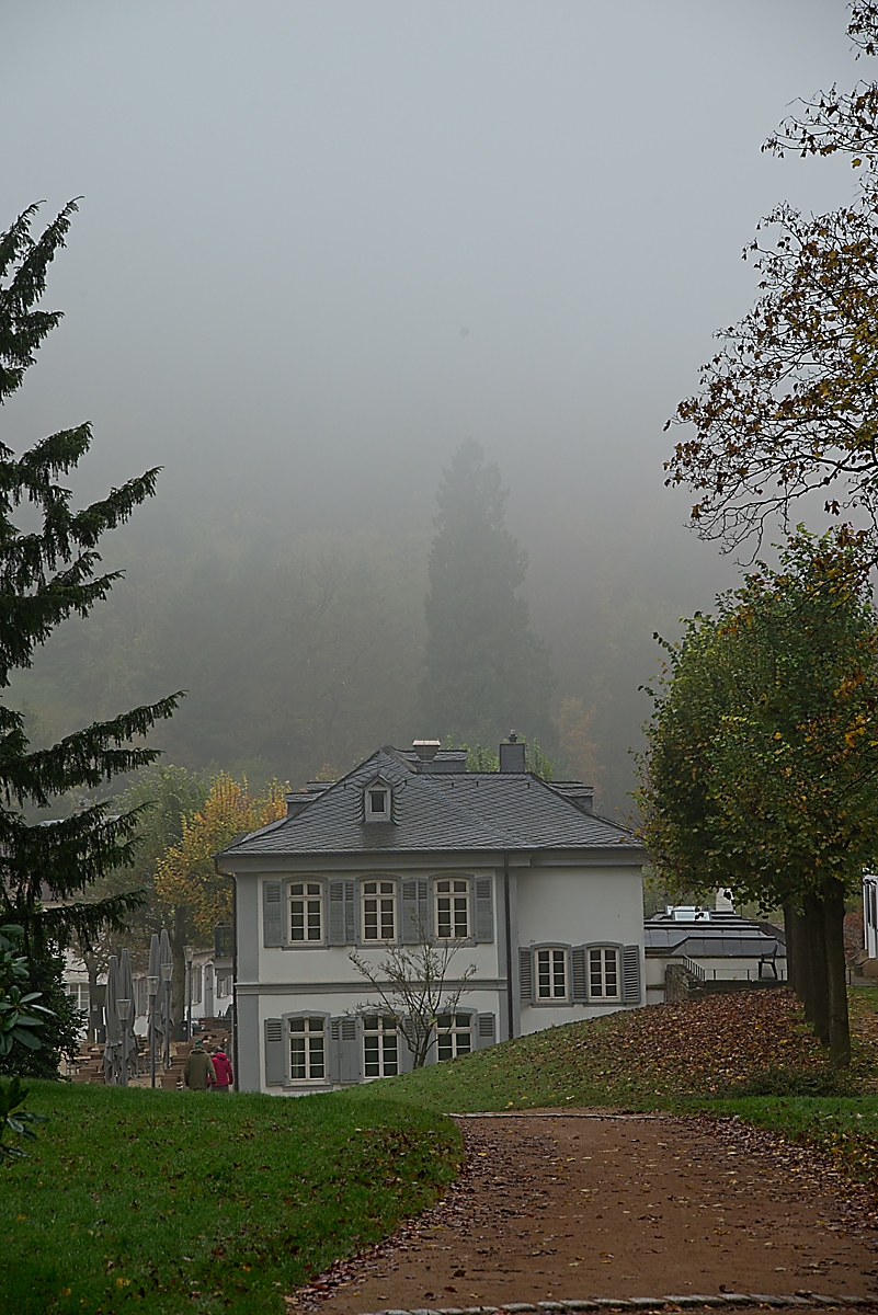 DSC_4115_NIKON Z 5_1200.jpg
