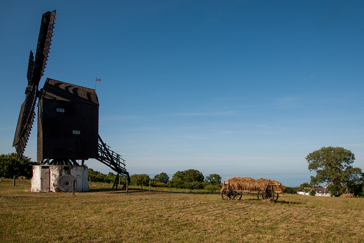 DSC_4138-Bearbeitet.jpg