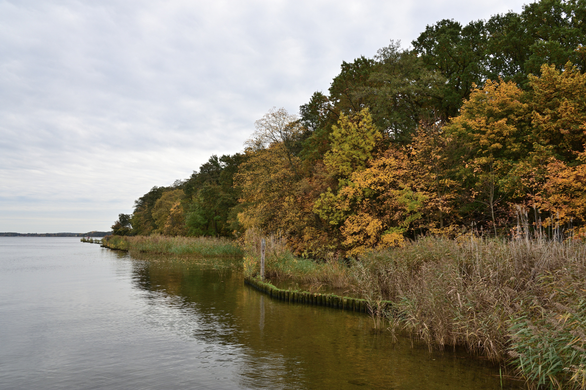 DSC_4143.JPG