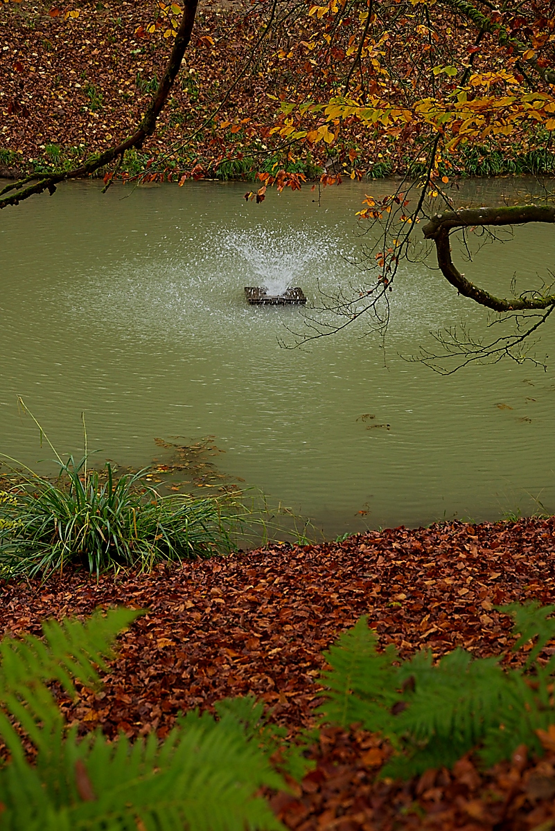 DSC_4162_NIKON Z 5_1200.jpg