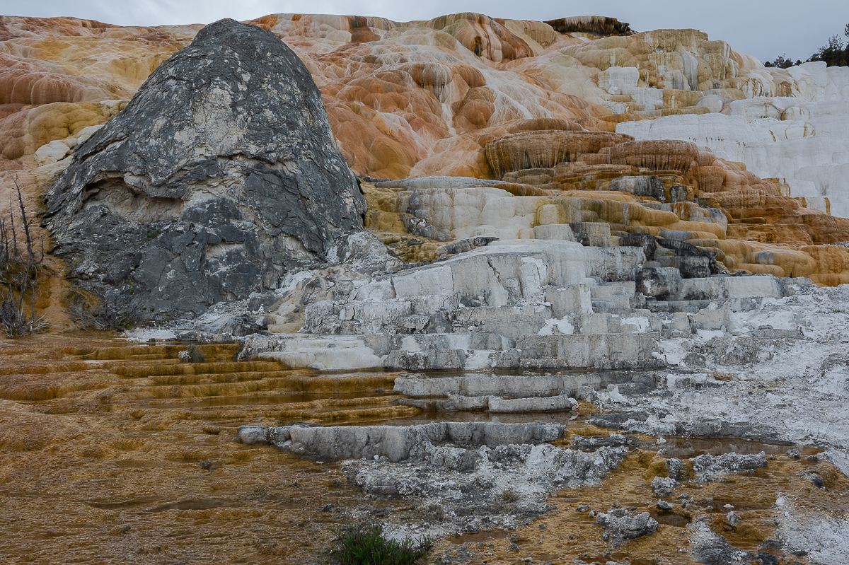 DSC_4204.jpg