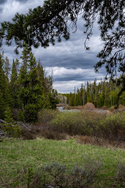 DSC_4269.jpg