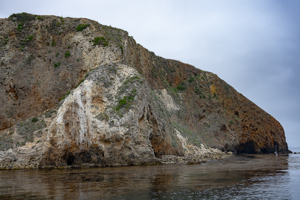 DSC_4308.jpg