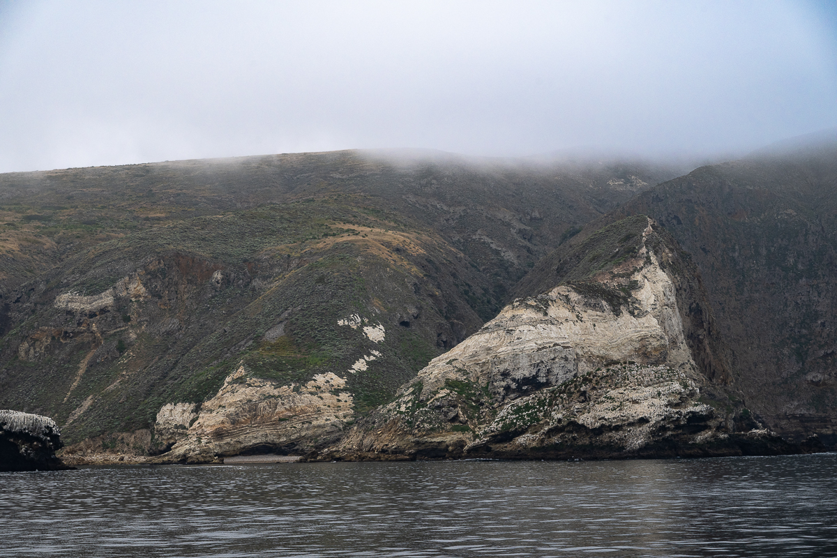 DSC_4321.jpg