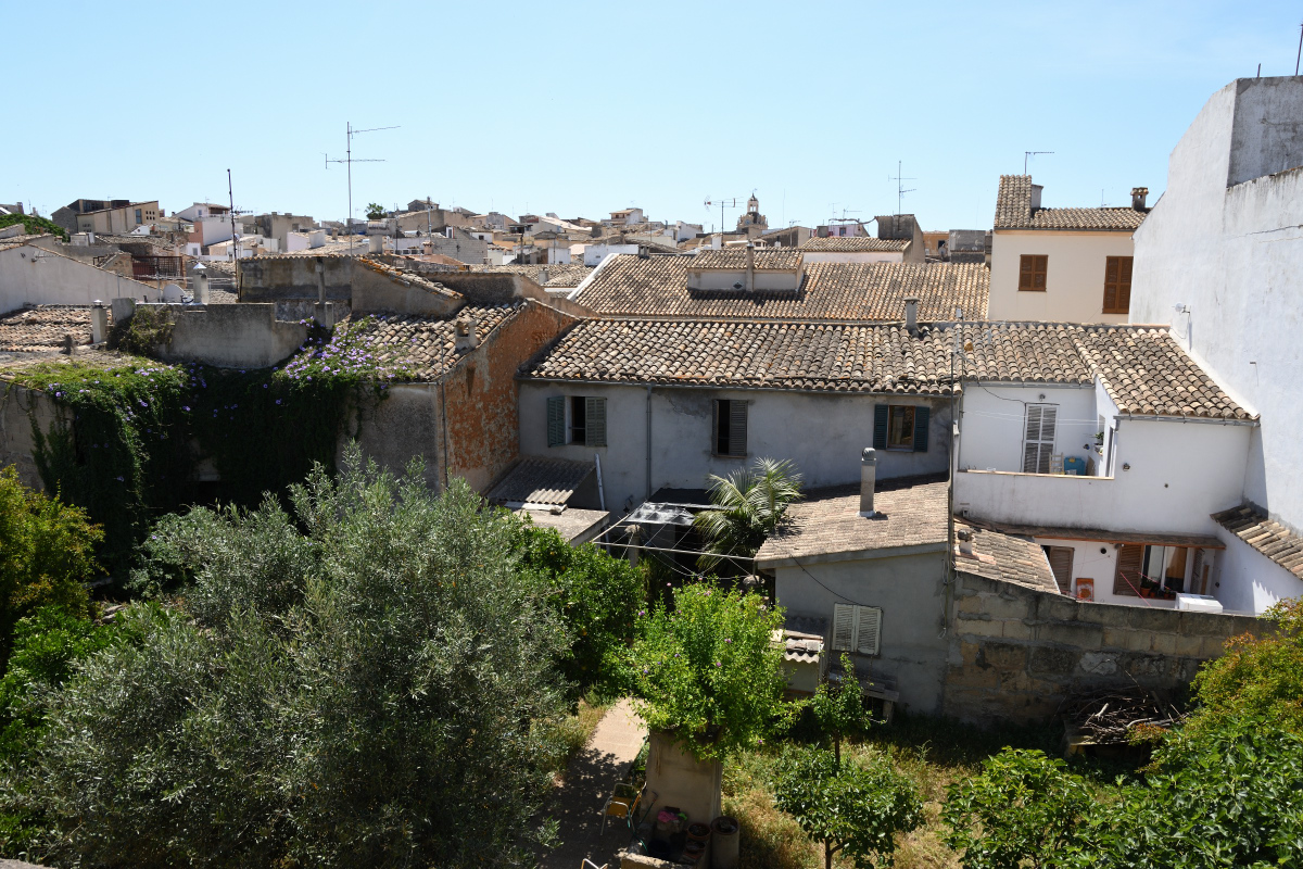 DSC_4323.JPG
