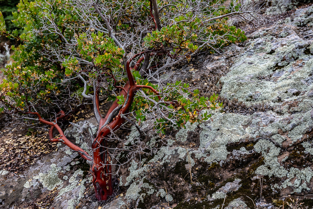 DSC_4370.jpg