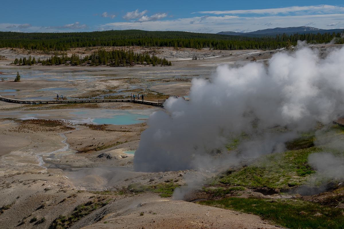 DSC_4378.jpg