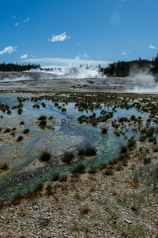 DSC_4382.jpg