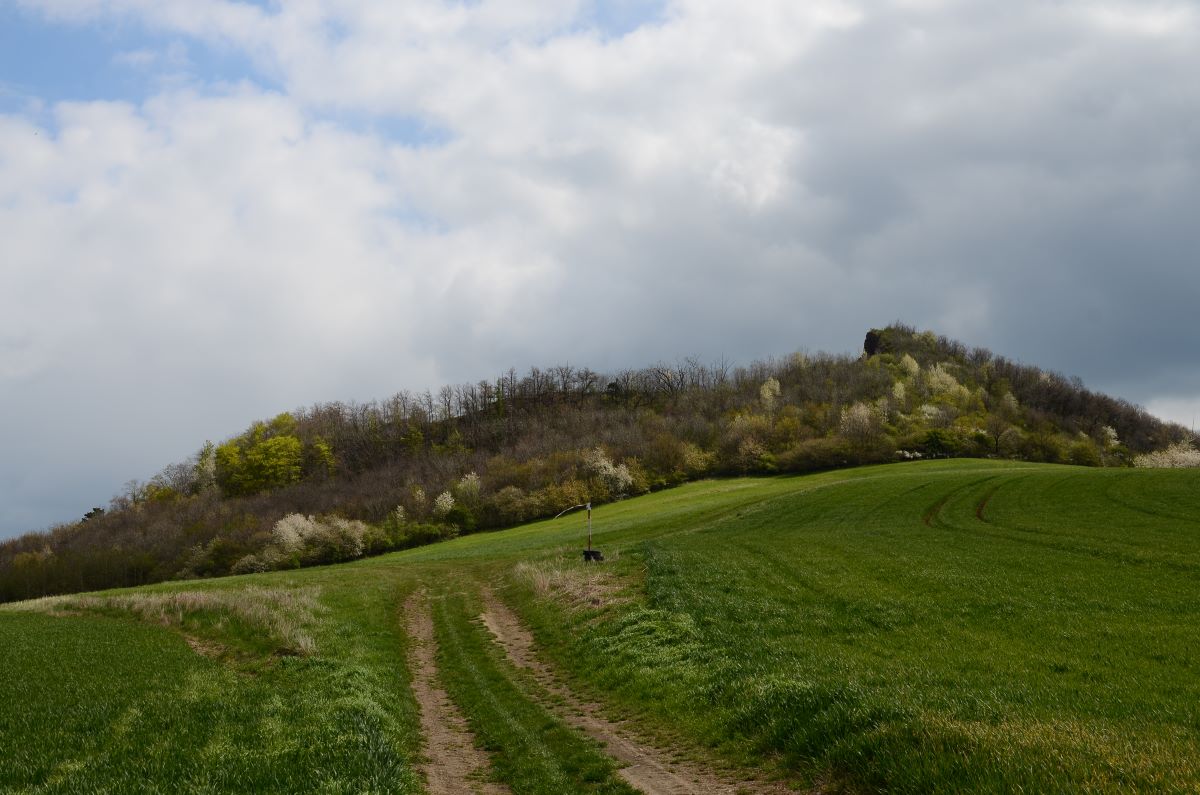 DSC_4388n.JPG