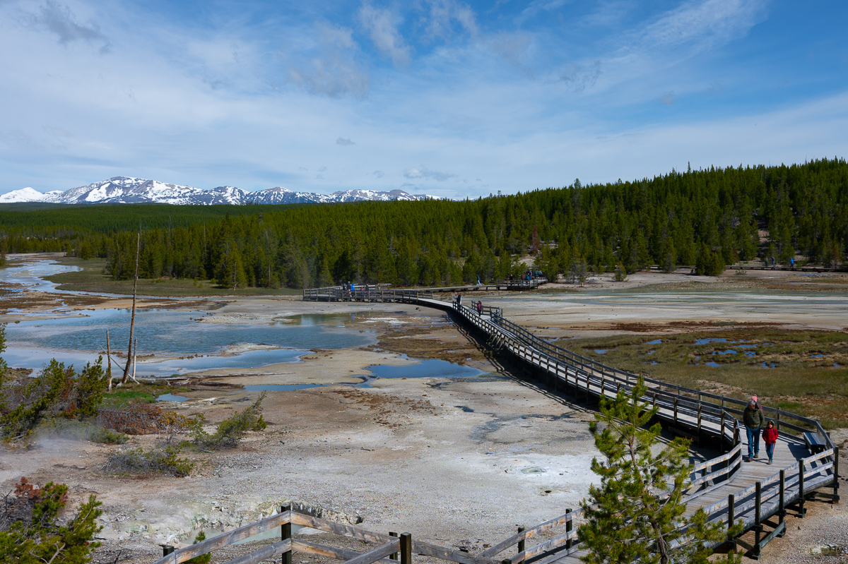 DSC_4392-Bearbeitet.jpg