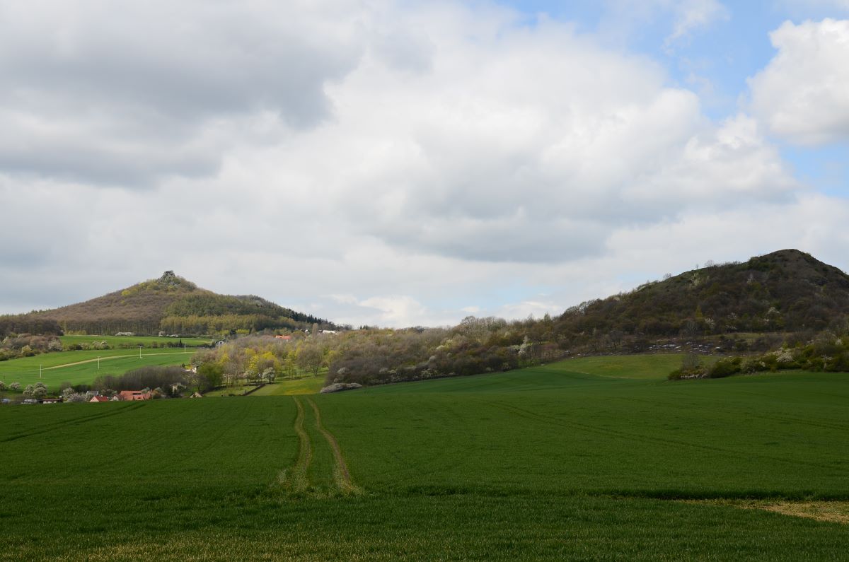 DSC_4393n.JPG