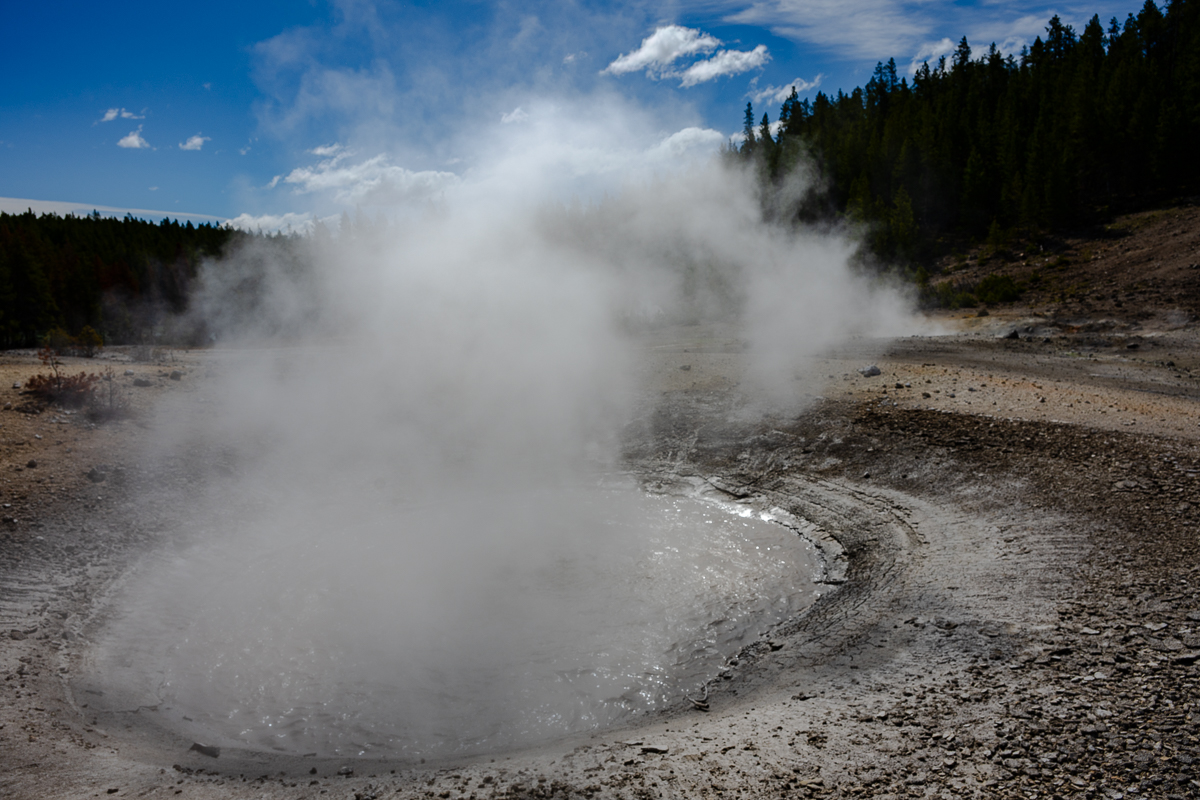 DSC_4396.jpg