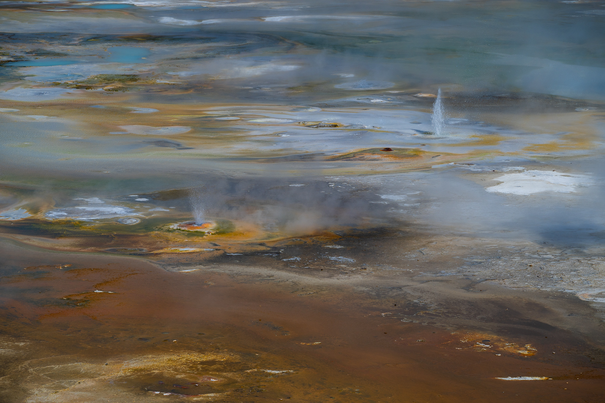 DSC_4402.jpg