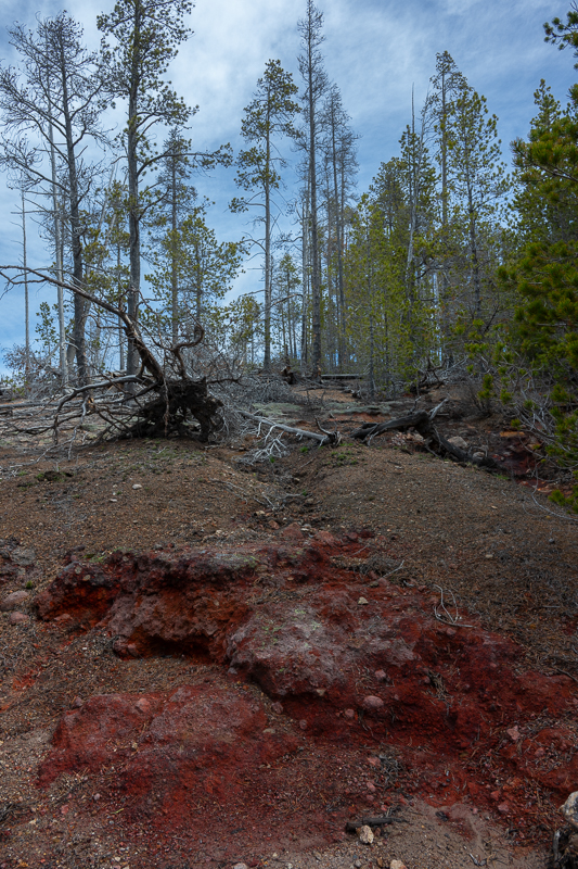 DSC_4412.jpg