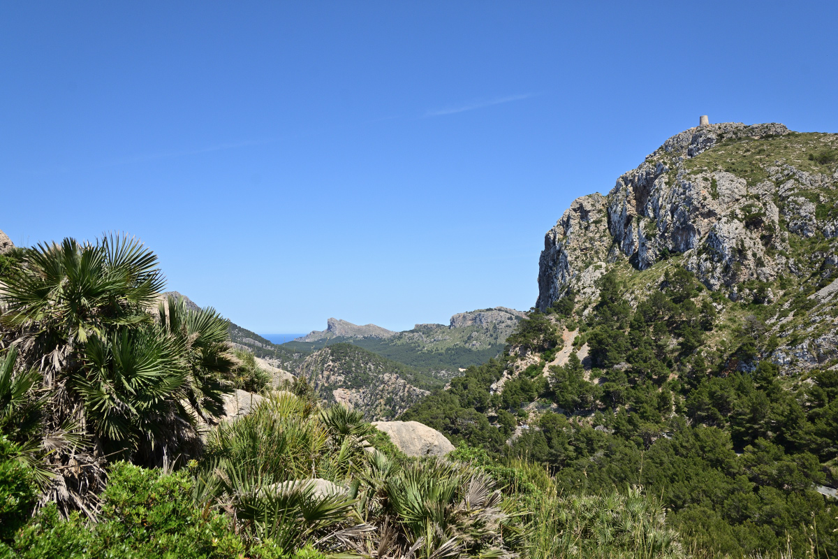 DSC_4417.JPG