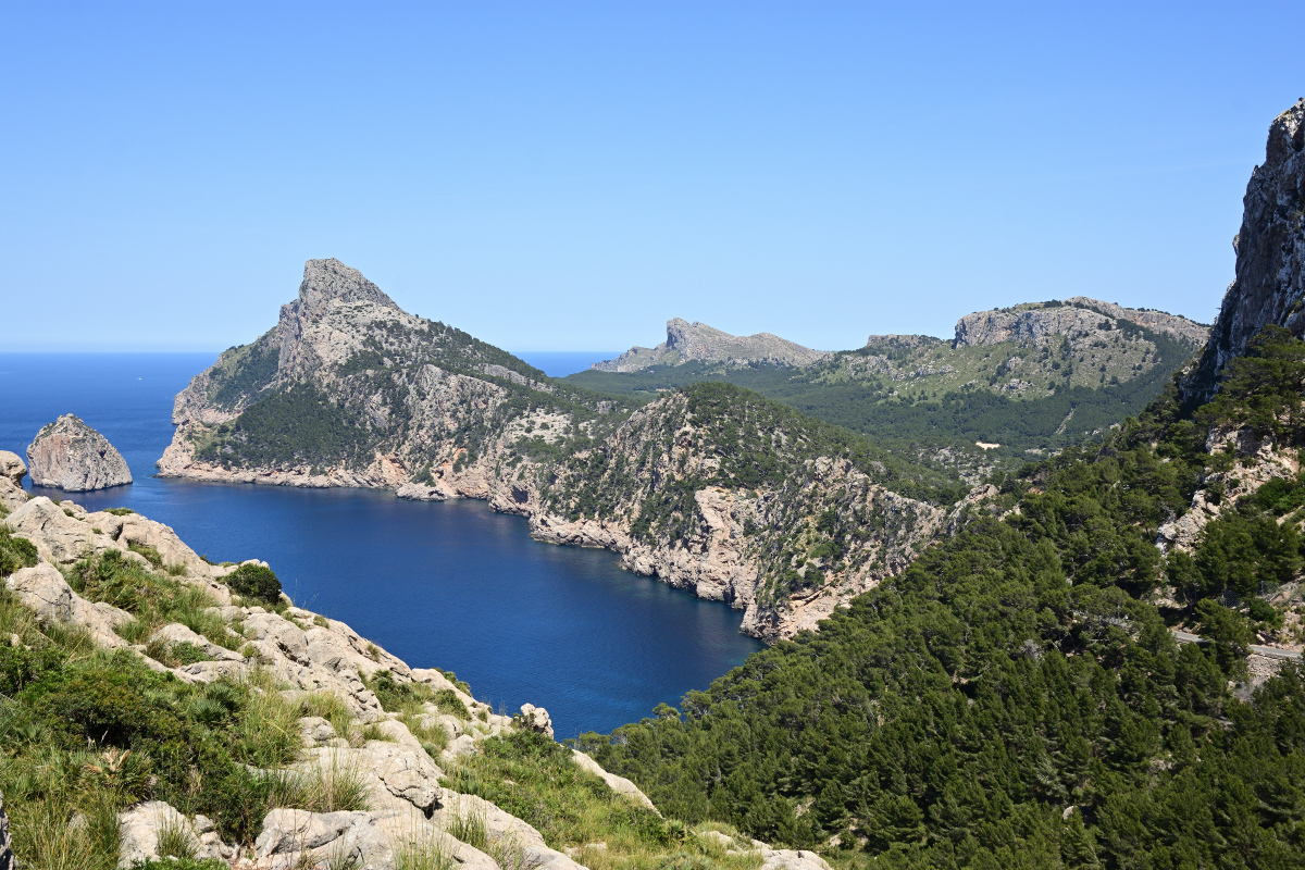 DSC_4422.JPG