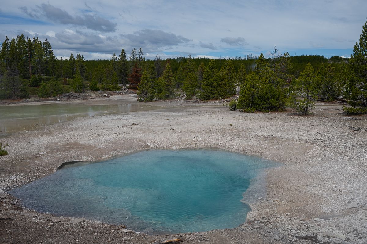DSC_4423.jpg