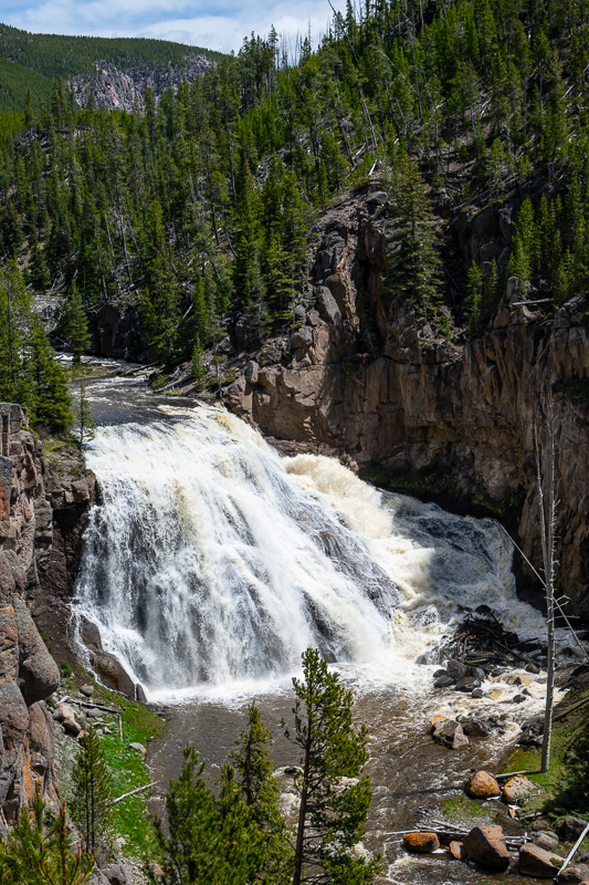 DSC_4446.jpg