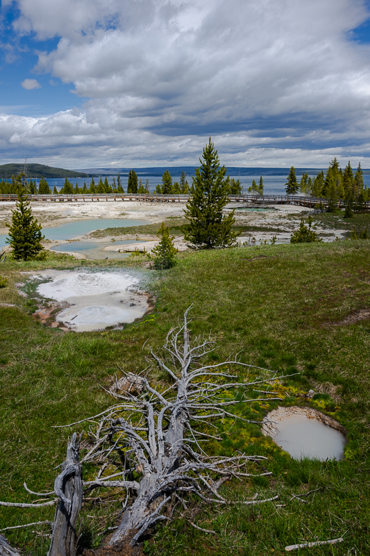 DSC_4453.jpg