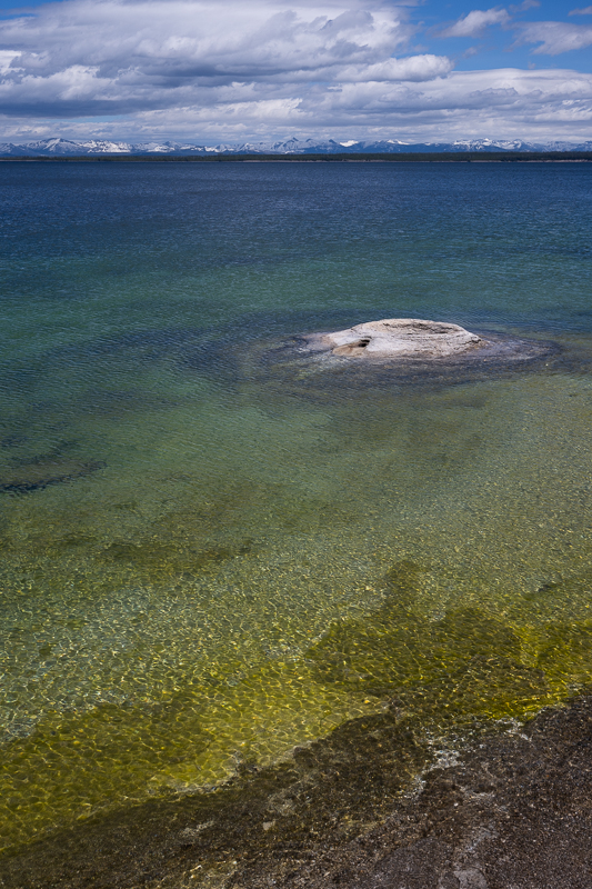 DSC_4471.jpg