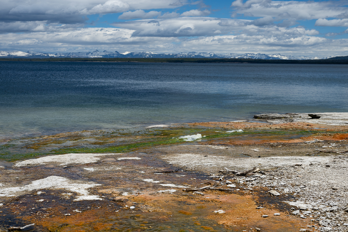 DSC_4480.jpg