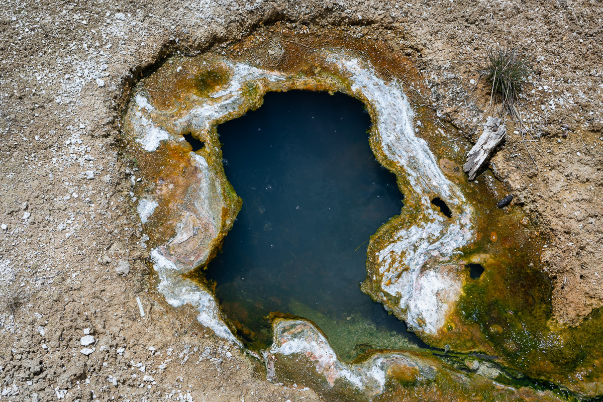 DSC_4484.jpg