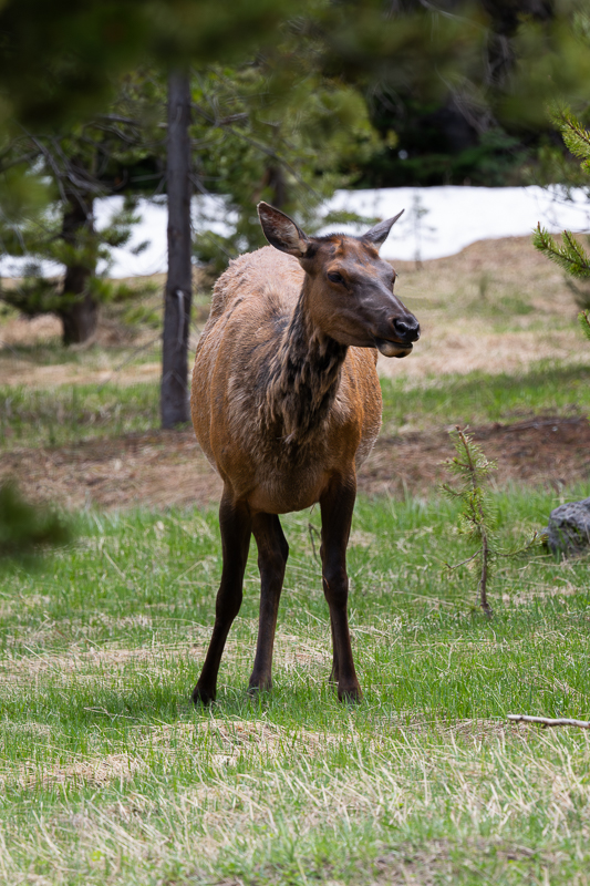 DSC_4499.jpg