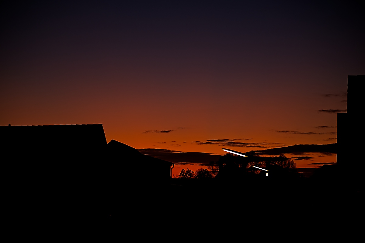 DSC_4521_NIKON Z 5_1200.jpg