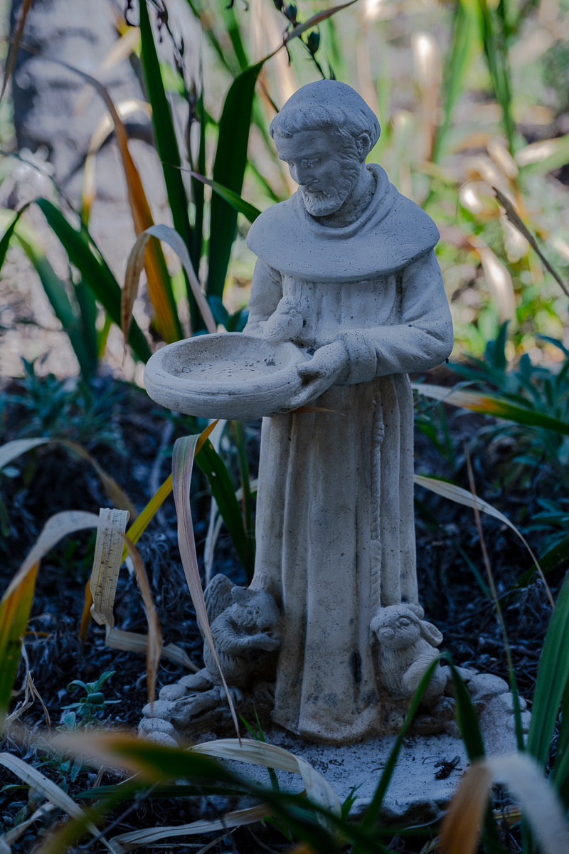 DSC_4527.jpg