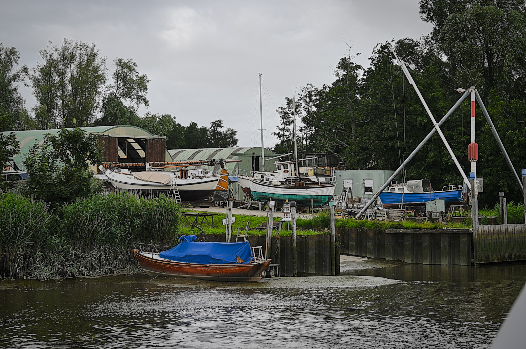 DSC_4539.jpg