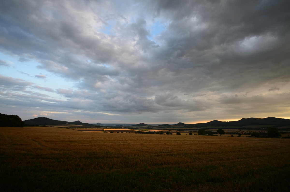 DSC_4544_00001n.jpg