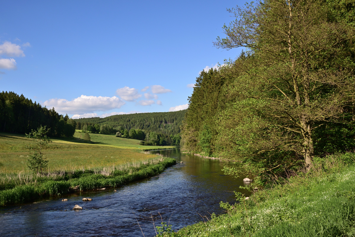 DSC_4626.JPG