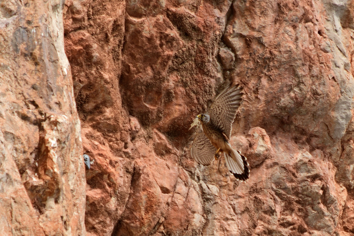 DSC_4645.JPG
