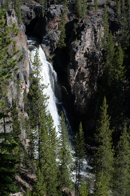 DSC_4660.jpg