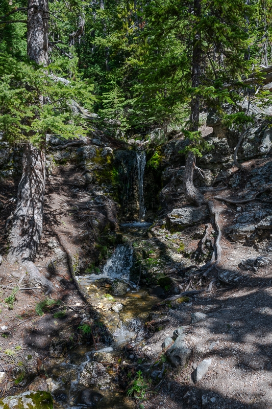 DSC_4667.jpg