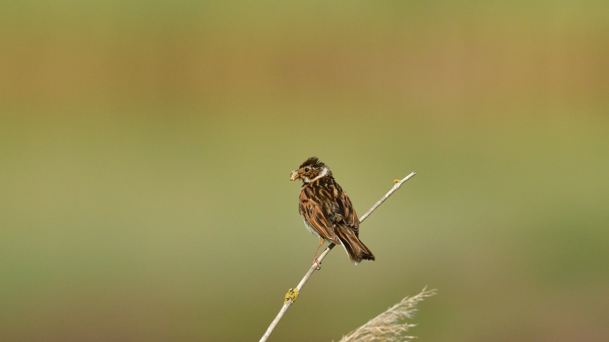 DSC_4676.JPG