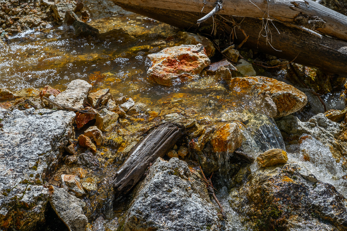 DSC_4683.jpg