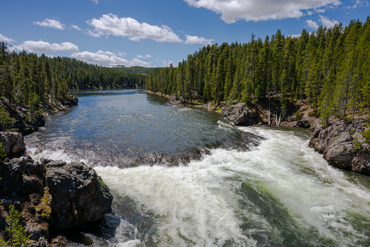 DSC_4692.jpg
