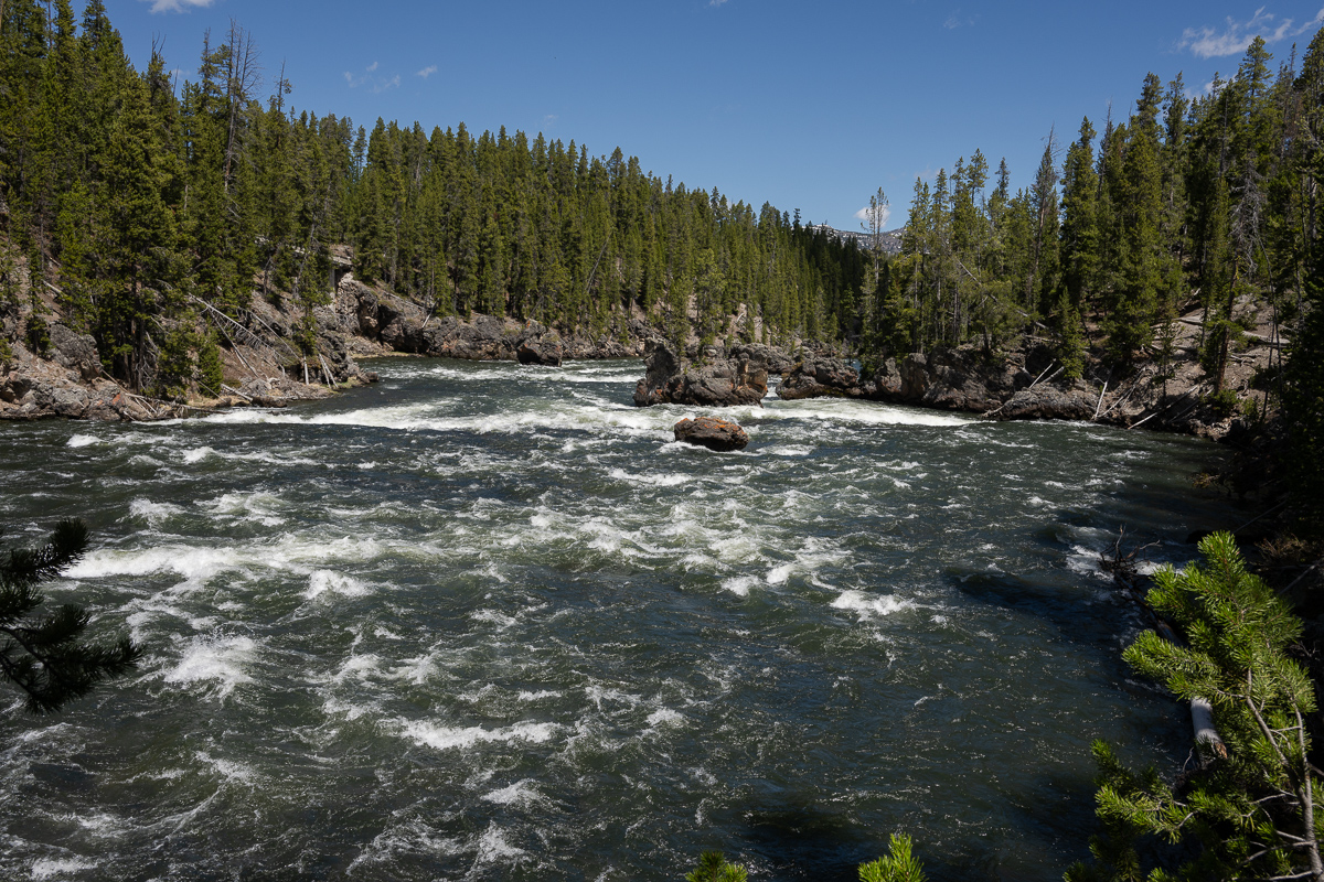 DSC_4693.jpg